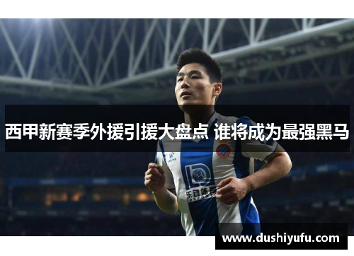 西甲新赛季外援引援大盘点 谁将成为最强黑马